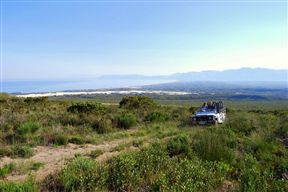 Grootbos Nature Reserve - near Gansbaai