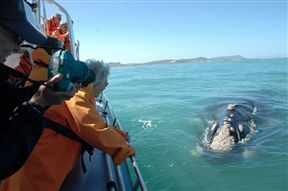 Grootbos Nature Reserve - near Gansbaai