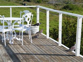 Guinea Fowl House Bed and Breakfast