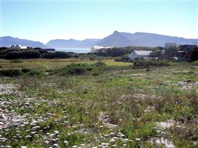 Guinea Fowl House Bed and Breakfast