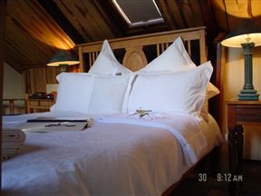 Harfield Guest Villa