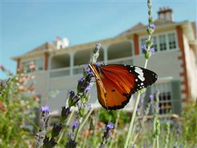 Highlands Country House