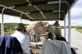 Hitgeheim Country Lodge and Eco-Reserve