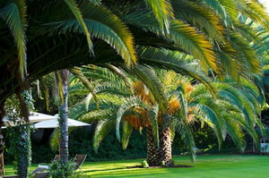 Hlangana Lodge