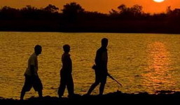 Honeyguide Tented Safari Camps
