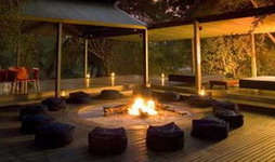 Honeyguide Tented Safari Camps in the Manyeleti Reserve, Sabi Sabi, Kruger National Park, South Africa