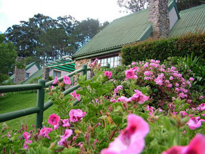 Houtkapperspoort Mountain Retreat