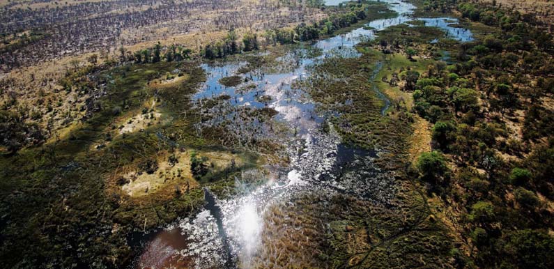 Okavango Delta, Botswana