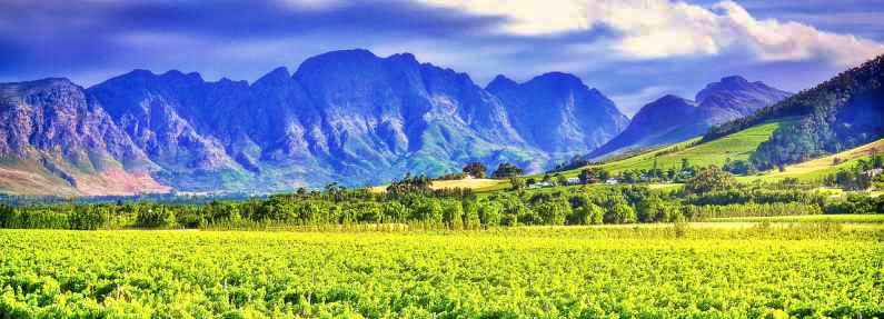 Get a taste of the Cape Winelands, South Africa