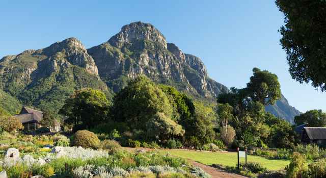 Kirstenbosch National Botanical Gardens, Cape Town