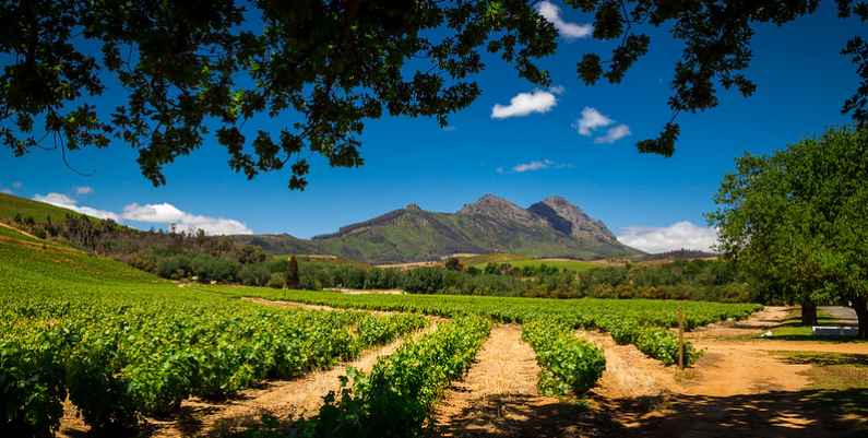 Cape Winelands, South Africa