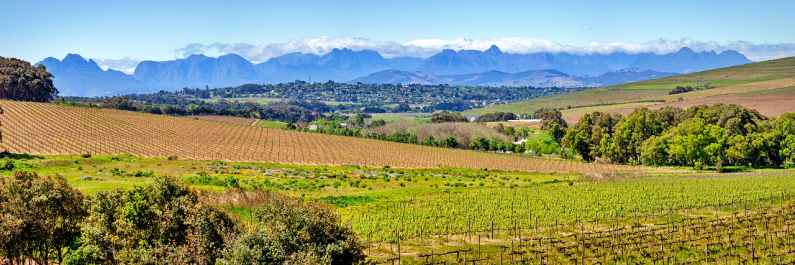 Durbanville Wine Route, Cape Winelands, South Africa
