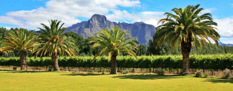 Franschhoek ‌wine farm, Cape Winelands, South Africa