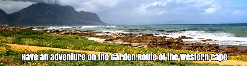 Have an adventure on the Garden Route of the Western Cape