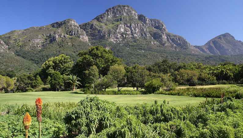 Kirstenbosch Botanical Garden, Cape Town