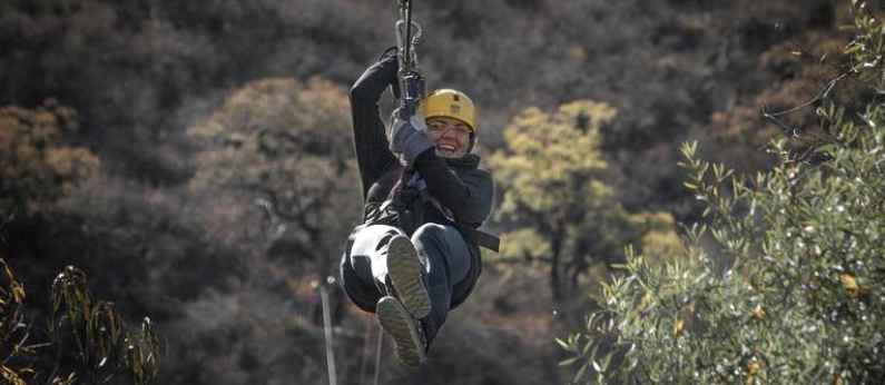 Ziplining in the Tsitsikamma Forest, Garden Route, South Africa