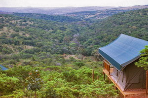 Inkwenkwezi Private Game Reserve