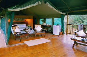 Inkwenkwezi Private Game Reserve