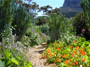 Intaba Lodge, Hout Bay