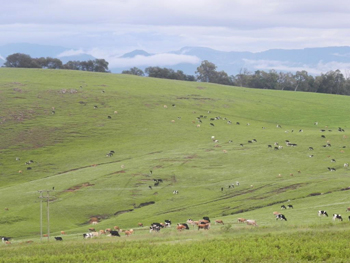 J&B Lodge, Underberg