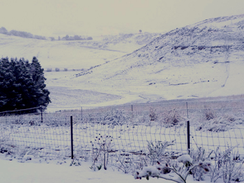J&B Lodge, Underberg