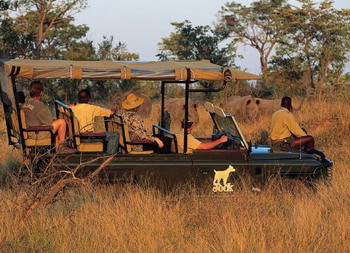 Game Drive - Rhino