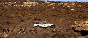 Kagga Kamma Private Game Reserve