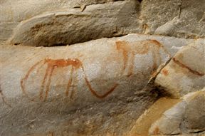 Kagga Kamma Private Game Reserve
