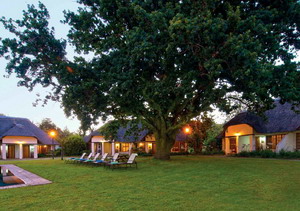 Knysna Hollow Country Estate