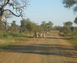 Kruger National Park