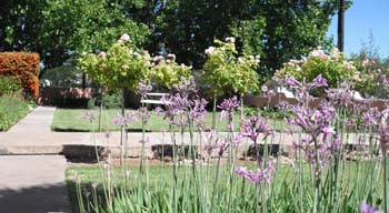 La Provence Bed and Breakfast, Colesberg