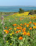 Langebaan