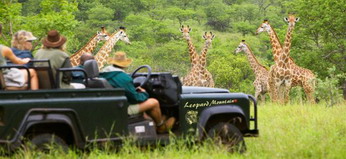 Leopard Mountain Safari Lodge near Hluhluwe