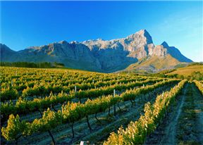 L'ermitage Franschhoek Chateau & Villas