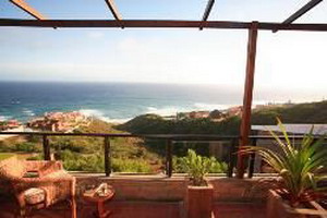 Lilies & Leopards B&B