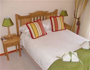 Lilies & Leopards B&B