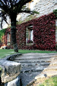 Lords of the Manor