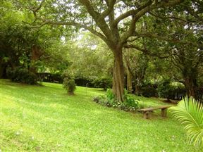 Mdoni House Guest Lodge