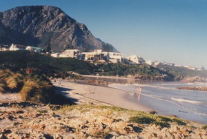 View from the cliff