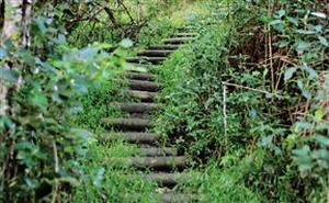 Misty Mountain Rustic Farm Cottages