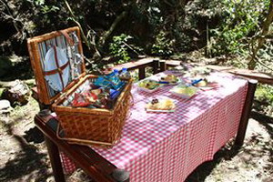 Misty Mountain Rustic Farm Cottages