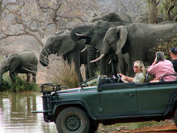 Mohlabetsi Safari Lodge in the Balule Nature Reserve of Kruger National Park, South Africa