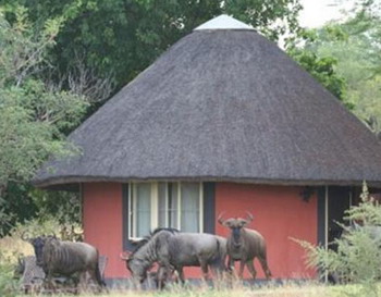 Mohlabetsi Safari Lodge in the Balule Nature Reserve of Kruger National Park, South Africa