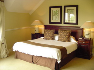 Mont Rochelle Hotel and Mountain Vineyards - click for larger image