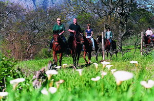 Mont Rochelle Hotel and Mountain Vineyards - click for larger image