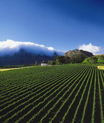 Mont Rochelle Hotel and Mountain Vineyards