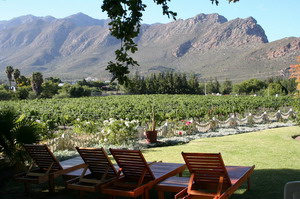 Montagu Vines - 4 star Guesthouse in a wine producing vineyard in Montagu, Route 62, South Africa - click for larger image