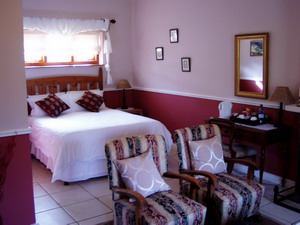 Montagu Vines - 4 star Guesthouse in a wine producing vineyard in Montagu, Route 62, South Africa - click for larger image