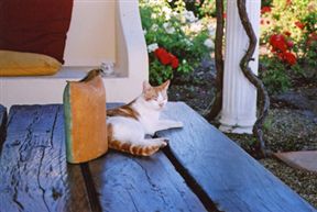 Monte Rosa Bed and Breakfast