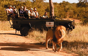 Motswari Lodge in the Motswari Private Game Reserve - Timbavati Game Reserve, Kruger National Park, South Africa